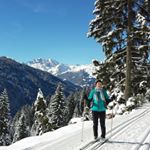 Profile Picture of Anita Demmelmaier (@anita.demmelmaier) on Instagram