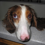 Profile Picture of Tamara Ivey (@tlou3970) on Youtube