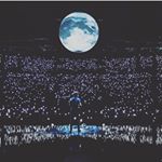 Profile Picture of Shawn•Cody•Austin•Justin (@shawns__queen) on Instagram