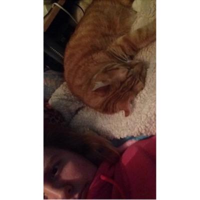 Profile Picture of Nerissa Bernasky (@nerissabernask3) on Twitter