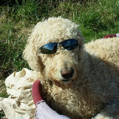 Profile Picture of Nick Dart (@ndart24) on Twitter