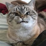 Profile Picture of peter___bergmann (@peter___bergmann) on Instagram