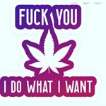 Gavin69 - Instagram Profile Picture of Gavin69 (@gavin.jensen.180) on Instagram