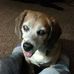 Profile Picture of Jenn Schmanski Bacci (@jenn.schmanski) on Facebook