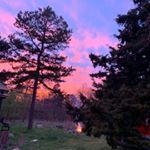 Profile Picture of Macie Humphrey (@starving._.art) on Instagram