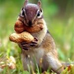 Profile Picture of Loretta Fox (@lfox661) on Instagram