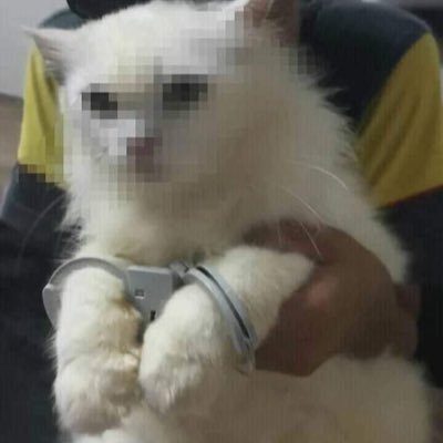 Profile Picture of Jon ✈️ (@7_czar) on Twitter