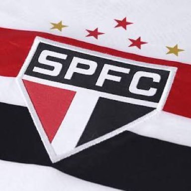 Profile Picture of SPFC (@spfc) on Twitter