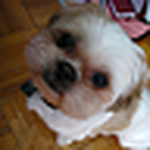 Profile Picture of Eric Harris (@Jaxvex) on Flickr