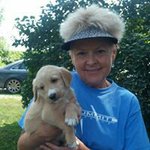 Profile Picture of Diane Handler (@dianehandler) on Instagram