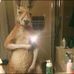 Profile Picture of Patrick Houlihan (@patrick.houlihan.108) on Facebook