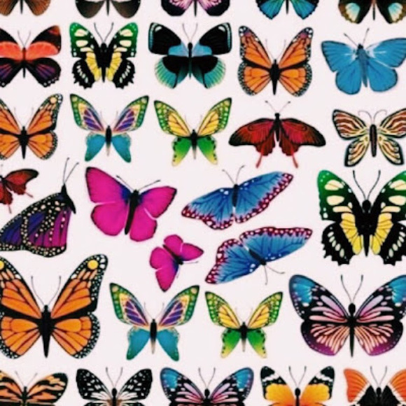 Profile Picture of Hope Labriola (@hope_labriola) on Poshmark