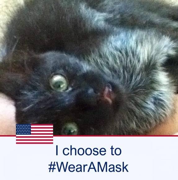 Profile Picture of Sue Clapper (@redkitty02) on Poshmark