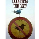 Profile Picture of Ted Curtis (@edward_curtis_imhuman) on Instagram