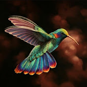 Profile Picture of Frances Allen (@francesallen3895) on Youtube