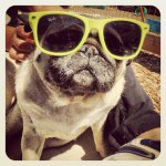 Profile Picture of lucy_rowley (@lucy_rowley) on Instagram