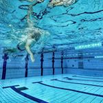 Moshico Hershkovitz - Instagram Profile Picture of Moshico Hershkovitz (@moshicohershkovitz) on Instagram