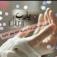 Profile Picture of Shereen Ibrahim (@shereen.ibrahim3) on Tiktok