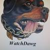 Profile Picture of Kevin Madigan (@@kevinmadigan) on Tiktok