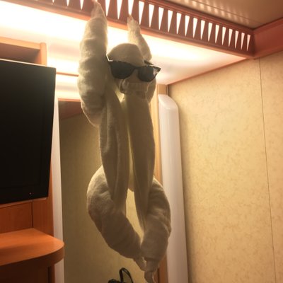 Profile Picture of David Shutters (@david_shutters) on Twitter