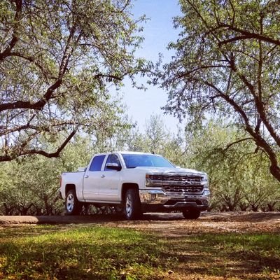 Profile Picture of Ivan Granados (@ivangranados24) on Twitter