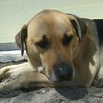 Profile Picture of Michael Nuckolls (@nucks67) on Instagram