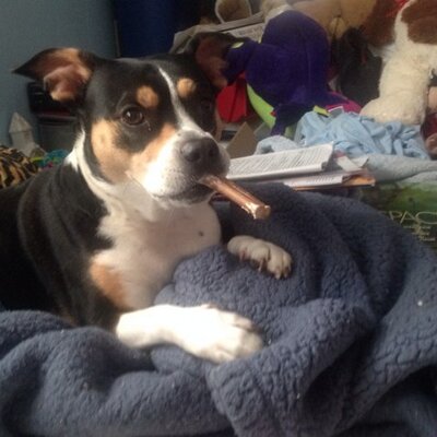 Profile Picture of Rita A Rupp (@rupp_rita) on Twitter