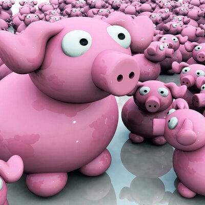 Profile Picture of Heike Schulte-Zander (@zandoline) on Twitter