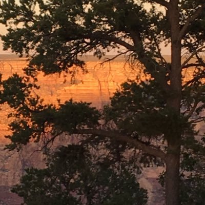 Profile Picture of Beverly Fasig 🇺🇸 (@BeverlyFasig) on Twitter