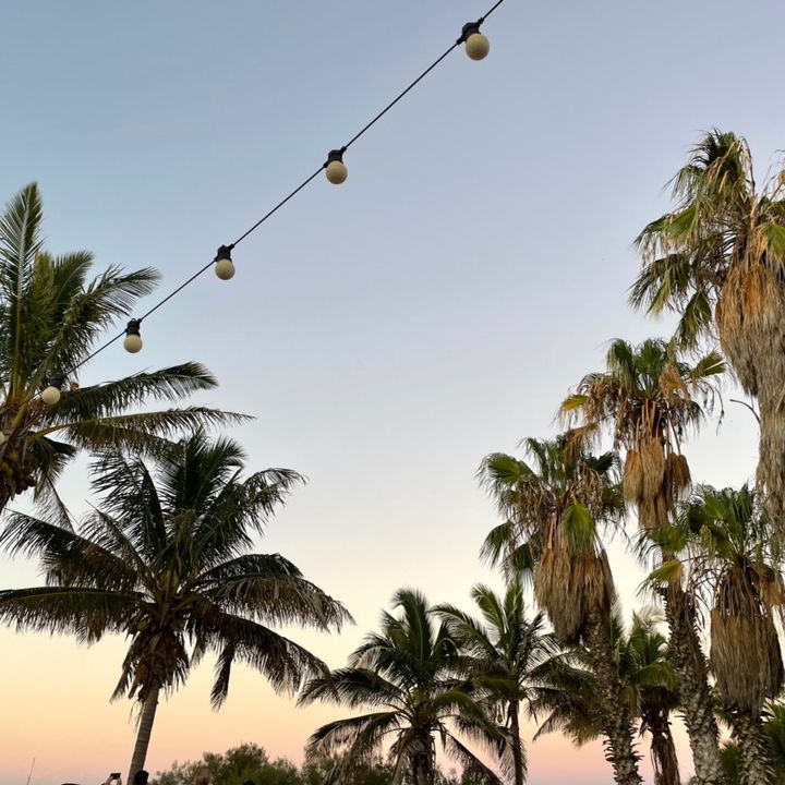 Profile Picture of Jo (@jo.mcgilvray) on Tiktok