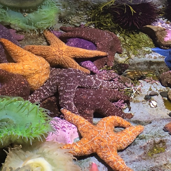 Profile Picture of Ashley Vanderlinden (@ashleymadhatter) on Poshmark