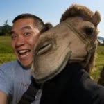 Profile Picture of Eric Cheng (@echeng) on Instagram