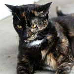 Profile Picture of Michael Murchie (@michaelmurchie) on Instagram