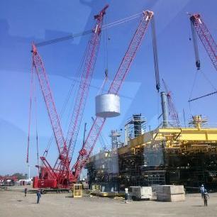 Profile Picture of Rigoberto Rosas (@c9102ff38d9c49e) on Twitter