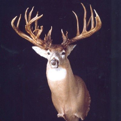 Profile Picture of DylanMclain (@DylanMclain8) on Twitter