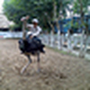 Profile Picture of Tong Hoang Huan (@hoanghuansd) on Flickr
