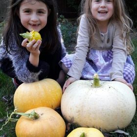 Profile Picture of Julia Feltham Hurren (@juliahurren) on Pinterest