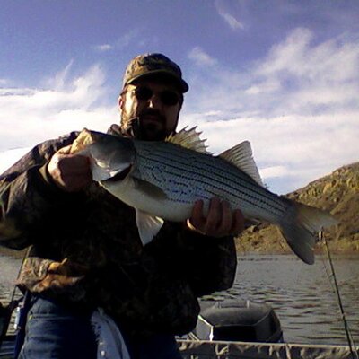 Profile Picture of Dan D'Agnese (@DanDAgnese) on Twitter