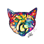 Profile Picture of Kenji Taniguchi (@Osktani) on Flickr