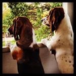 Profile Picture of Eric Craver (@craver.eric) on Instagram