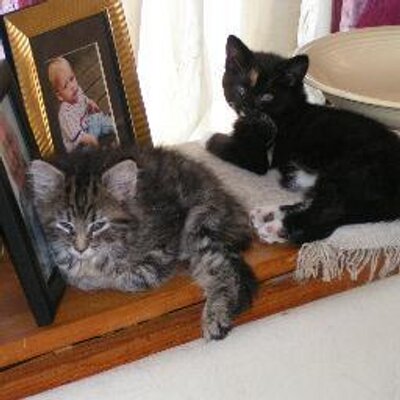 Profile Picture of Nancy McKenney (@sheenasma) on Twitter