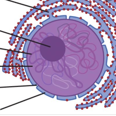 Profile Picture of Sophia Grantham (@SophiaGrantham4) on Twitter