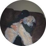 Profile Picture of Alex Yoo (@alex__yoooooo) on Instagram