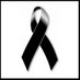 Profile Picture of Francisco Olmedo (@anfra1606) on Twitter