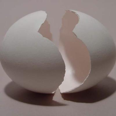 Profile Picture of Stephanie Forgey (@forgaliscious) on Twitter