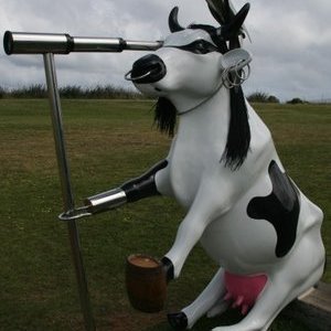 Profile Picture of Craig Bottomley (@bottstafeplace) on Twitter