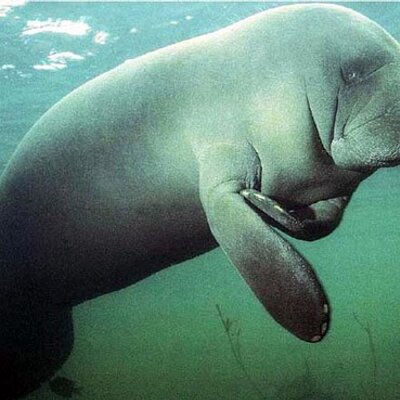 Profile Picture of SheRee Watson (@SheReeWatson1) on Twitter