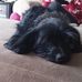 Profile Picture of Lucy Hudson (@lucy.hudson.9250595) on Facebook