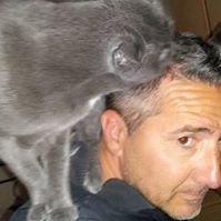 Profile Picture of Gaetano Mariella (@gae_richard) on Twitter