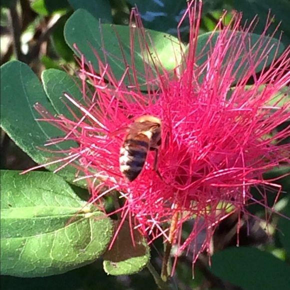 Profile Picture of Chloe Baer (@larkagogo) on Poshmark